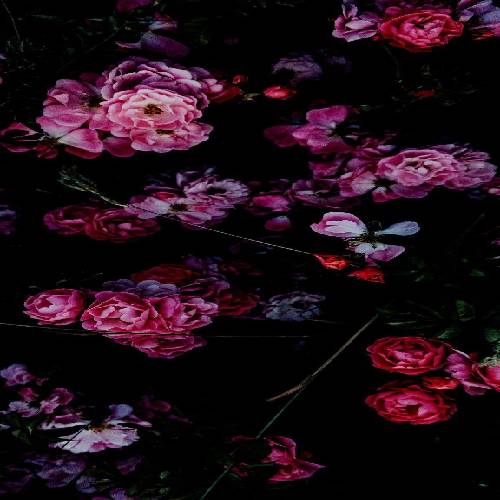 آیدا شاه قاسمی نیریز